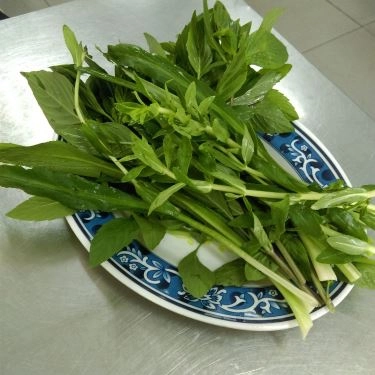Tổng hợp- Quán Ăn Phở Nam Hương