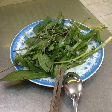 Tổng hợp- Quán Ăn Phở Ngọc Thể