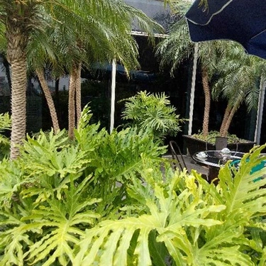 Tổng hợp- Quán Ăn Phố Ngon 37 - Indochina Plaza