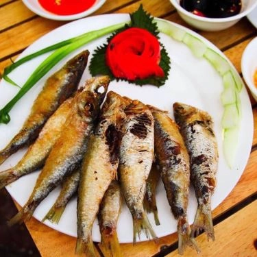 Tổng hợp- Quán Ăn Phố Ngon - Nhậu Các Món
