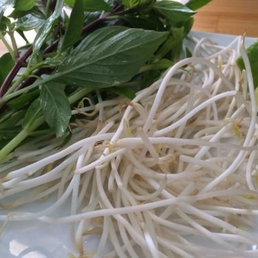 Tổng hợp- Quán Ăn Phở Ngũ Vị - Bò Kho Nước Thốt Nốt - Trần Văn Hoàng
