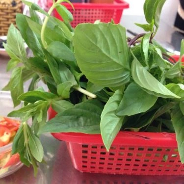 Tổng hợp- Quán Ăn Phở Nguyên - Ngô Thị Thu Minh