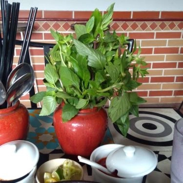 Tổng hợp- Quán Ăn Phở Ông Tây