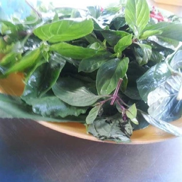 Món ăn- Quán Ăn Phở - Phan Chu Trinh