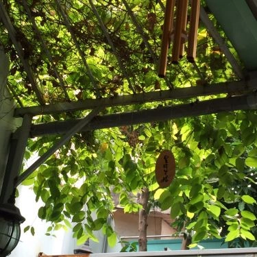 Tổng hợp- Quán Ăn Phở Phú Hương Cò Lả