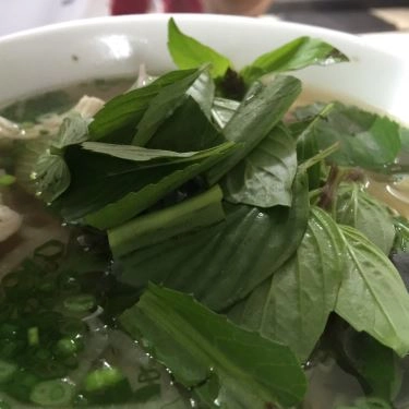 Tổng hợp- Quán Ăn Phở Phú Hương Cò Lả