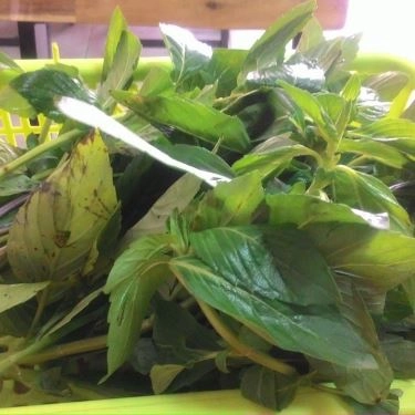 Tổng hợp- Quán Ăn Phở Phương Bắc
