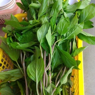 Tổng hợp- Quán Ăn Phở Quỳnh - Tân Phú