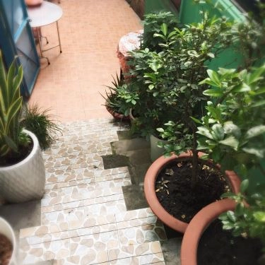 Tổng hợp- Quán Ăn Phở Số 2 - Đinh Tiên Hoàng