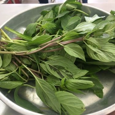 Tổng hợp- Quán Ăn Phở Tàu Bay
