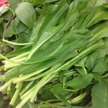 Tổng hợp- Quán Ăn Phở Tàu Bay