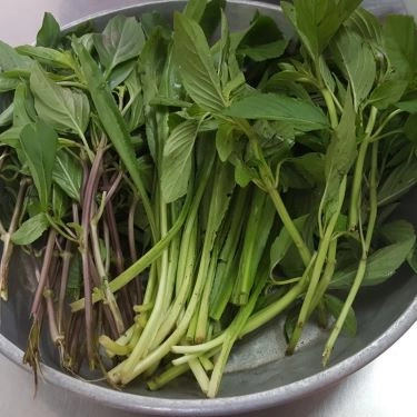 Tổng hợp- Quán Ăn Phở Tàu Bay
