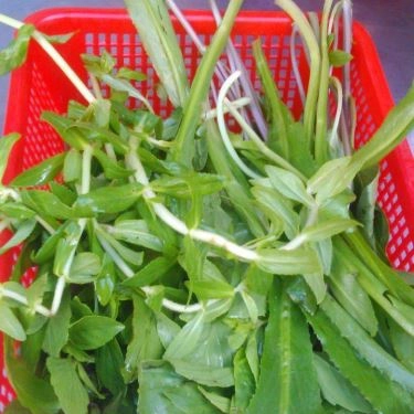Món ăn- Quán Ăn Phở Thắng