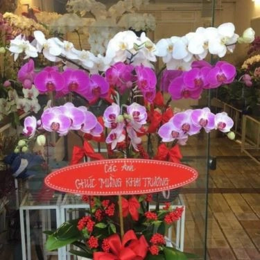 Tổng hợp- Quán Ăn Phở Thăng Long