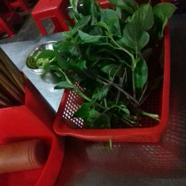Tổng hợp- Quán Ăn Phở Thiên Ân - Làng Đại Học
