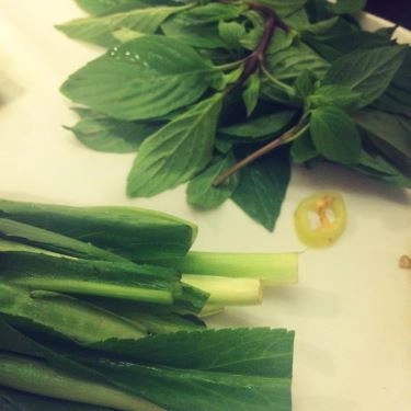 Tổng hợp- Quán Ăn Phở Thìn - Phố Nhỏ