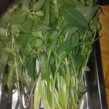 Tổng hợp- Quán Ăn Phở Tín