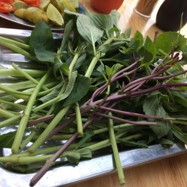 Tổng hợp- Quán Ăn Phở Tín