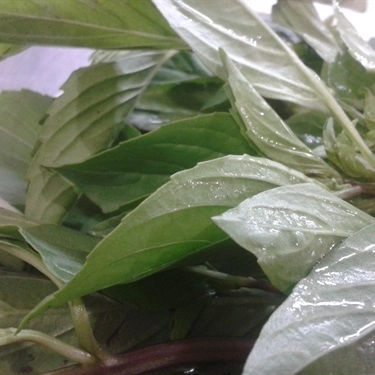 Tổng hợp- Quán Ăn Phở Trang - Nguyễn Oanh