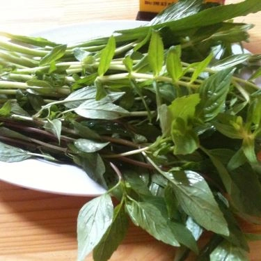 Tổng hợp- Quán Ăn Phở Việt - Phở & Cơm Trưa Văn Phòng