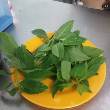 Tổng hợp- Quán Ăn Bún Bò Phước Hạnh