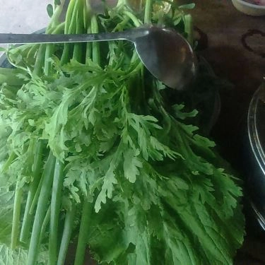 Món ăn- Phước Lộc - Quán Ăn Gia Đình