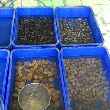 Tổng hợp- Quán Ăn Phước Thái - Hải Sản Tươi Sống