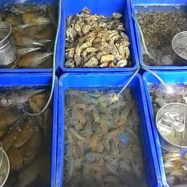 Tổng hợp- Quán Ăn Phước Thái - Hải Sản Tươi Sống