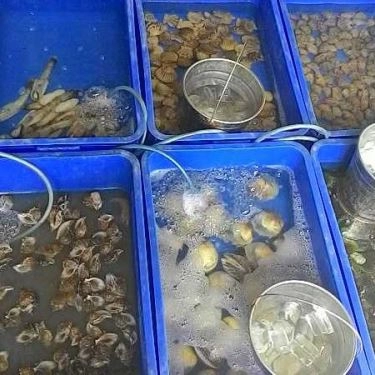 Tổng hợp- Quán Ăn Phước Thái - Hải Sản Tươi Sống