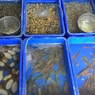 Tổng hợp- Quán Ăn Phước Thái - Hải Sản Tươi Sống