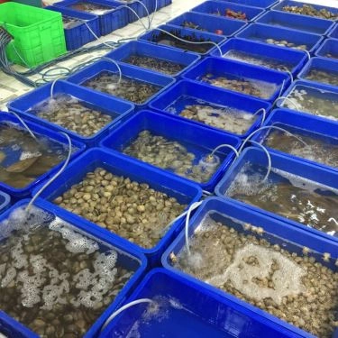 Tổng hợp- Quán Ăn Phước Thái - Hải Sản Tươi Sống