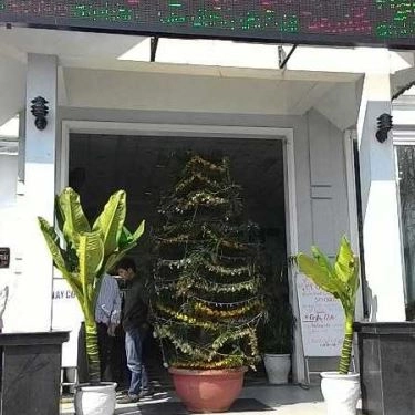 Tổng hợp- Quán Ăn Phước Thái - Hải Sản Tươi Sống