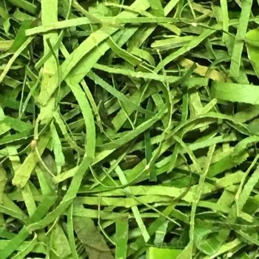 Tổng hợp- Quán Ăn Phương Béo 2 - Miến Gà Trộn Hà Nội