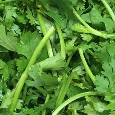 Tổng hợp- Quán Ăn Phương Béo 2 - Miến Gà Trộn Hà Nội