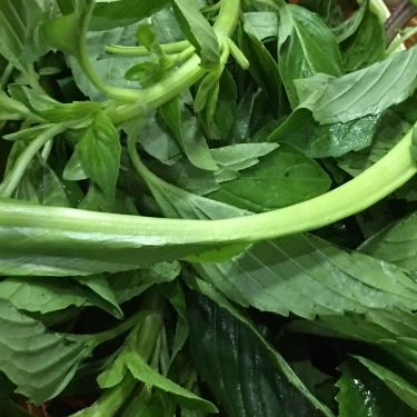 Tổng hợp- Quán Ăn Phương Béo 2 - Miến Gà Trộn Hà Nội