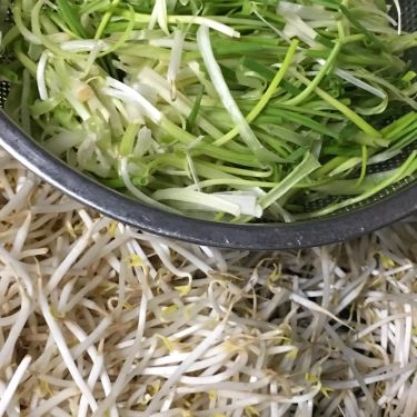 Tổng hợp- Quán Ăn Phương Béo 2 - Miến Gà Trộn Hà Nội