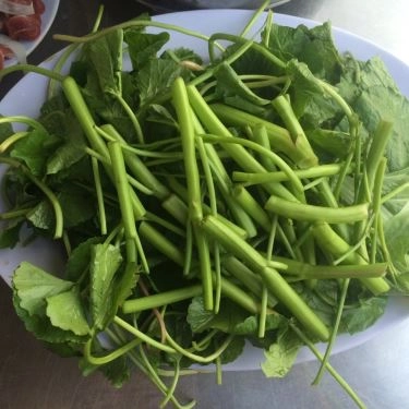 Tổng hợp- Quán Ăn Quán Phương - Bún Bắp Bò