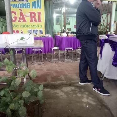 Tổng hợp- Quán Ăn Phương Mai - Gà Không Lối Thoát