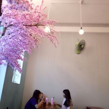Tổng hợp- Quán Ăn Q Sushi & Tea