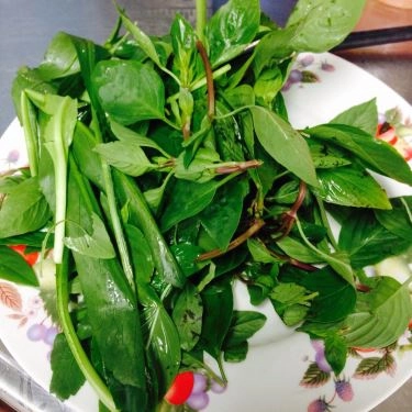 Tổng hợp- Quán Ăn Phở Phù Đổng