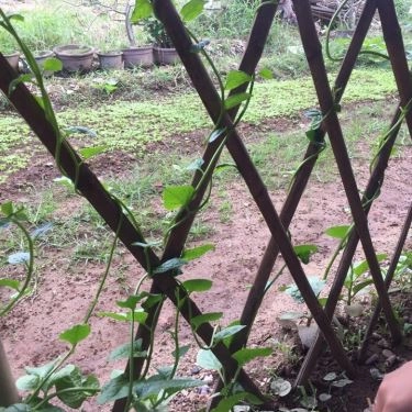 Tổng hợp- Quán Ăn Quán 59 - Làng Yaourt Muối