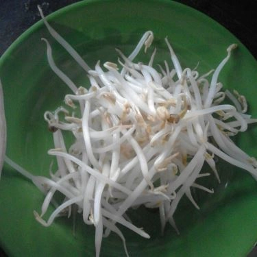 Món ăn- Quán Ăn Quán 666 - Phở, Bò Kho & Lẩu Bò