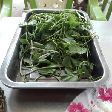 Món ăn- Quán Ăn Quán 999 - Cơm Tấm, Hủ Tiếu Nam Vang & Lẩu Xí Quách
