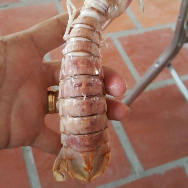 Món ăn- Quán Ăn Cát Biển - Cần Giờ