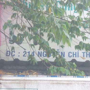 Tổng hợp- Quán Ăn Cây Điệp - Bánh Ướt, Xôi Mặn & Giải Khát