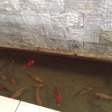Tổng hợp- Quán Ăn Chay Thuyền Viên - Hoàng Hoa Thám