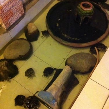 Tổng hợp- Quán Ăn Chay Thuyền Viên - Hoàng Hoa Thám