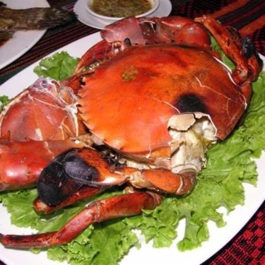 Tổng hợp- Quán Ăn Cua Ngon Hương Vị Đất Mũi