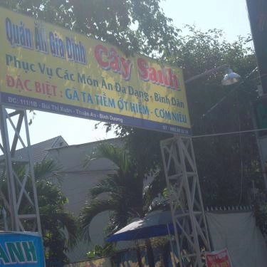 Tổng hợp- Quán Ăn Cây Sanh - Cơm Niêu & Gà Tiềm Ớt Hiểm