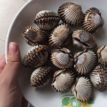Món ăn- Quán Ăn Hải Sản Hòa Thuận